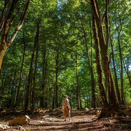 Kampaoh Sierra De Urbasa Hotel Bacáicoa Kültér fotó