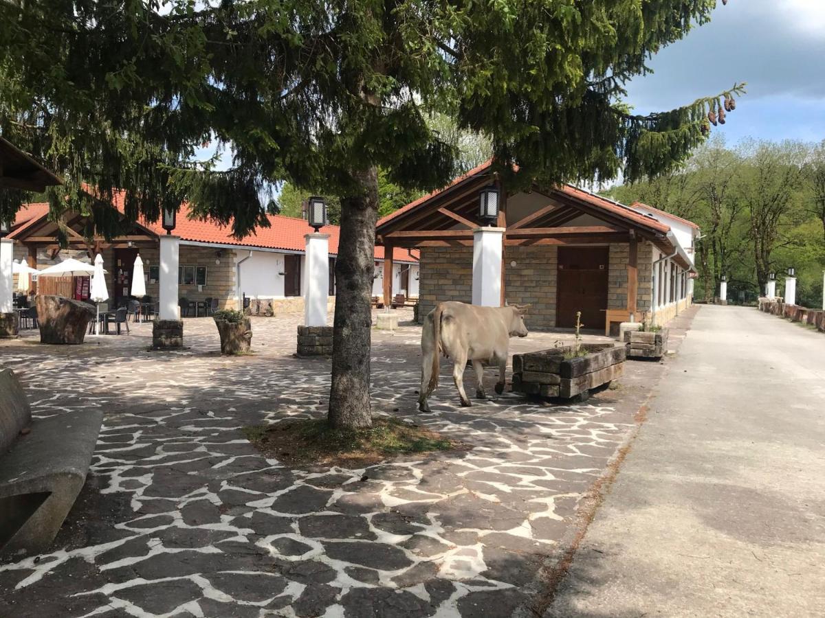 Kampaoh Sierra De Urbasa Hotel Bacáicoa Kültér fotó